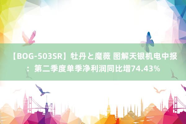 【BOG-503SR】牡丹と魔薇 图解天银机电中报:第二季度单季净利润同比增74.43%