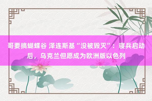 哥要搞蝴蝶谷 泽连斯基“没被毁灭”：寝兵启动后，乌克兰但愿成为欧洲版以色列