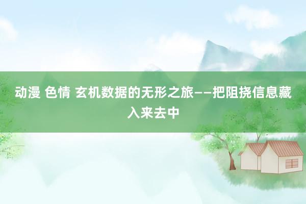 动漫 色情 玄机数据的无形之旅——把阻挠信息藏入来去中