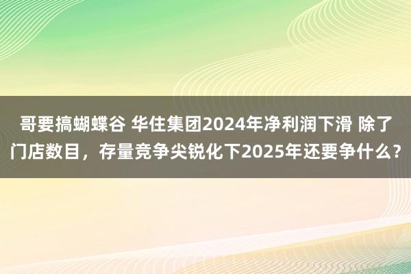 哥要搞蝴蝶谷 华住集团2024年净利润下滑 除了门店数目，存量竞争尖锐化下2025年还要争什么？